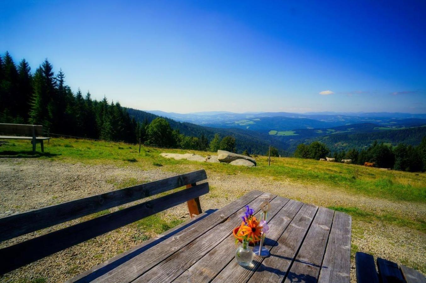 Glatzl Trahuetten Alm Sankt Lorenzen am Wechsel Buitenkant foto